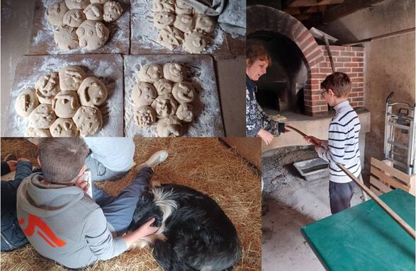 Fabrication de pain et contact avec les animaux de la ferme